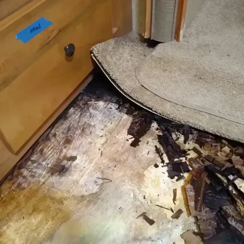 Wood Floor Water Damage in Lady Lake, FL